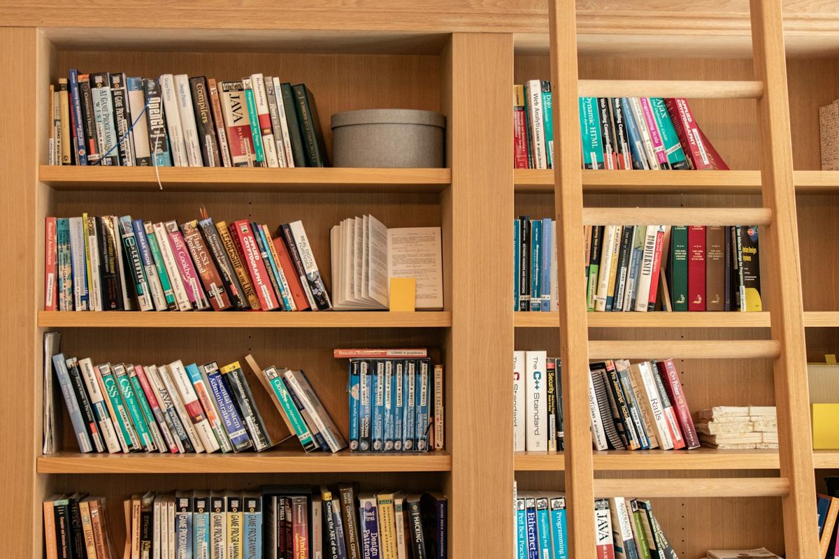 Bibliothèque en chêne clair occupant tout un mur, avec échelle